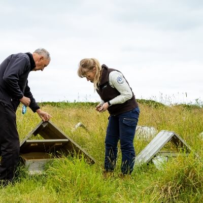 Penguin Foundation - marine scientists monitoring the Little Penguin colony.